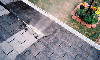 Roof Cleaning in Jacksonville FL Roof Cleaning Services in Jacksonville FL Roof Cleaning in FL Jacksonville Clean the roof in Jacksonville FL Roof Cleaner in Jacksonville FL Roof Cleaner in FL Jacksonville Quality Roof Cleaning in Jacksonville FL Quality Roof Cleaning in FL Jacksonville Professional Roof Cleaning in Jacksonville FL Professional Roof Cleaning in FL Jacksonville Roof Services in Jacksonville FL Roof Services in FL Jacksonville Roofing in Jacksonville FL Roofing in FL Jacksonville Clean the roof in Jacksonville FL Cheap Roof Cleaning in Jacksonville FL Cheap Roof Cleaning in FL Jacksonville Estimates on Roof Cleaning in Jacksonville FL Estimates in Roof Cleaning in FL Jacksonville Free Estimates in Roof Cleaning in Jacksonville FL Free Estimates in Roof Cleaning in FL Jacksonville